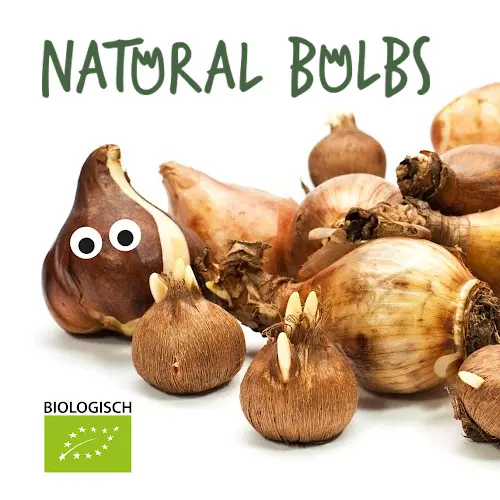 Natural Bulbs | Onze passie voor de natuur