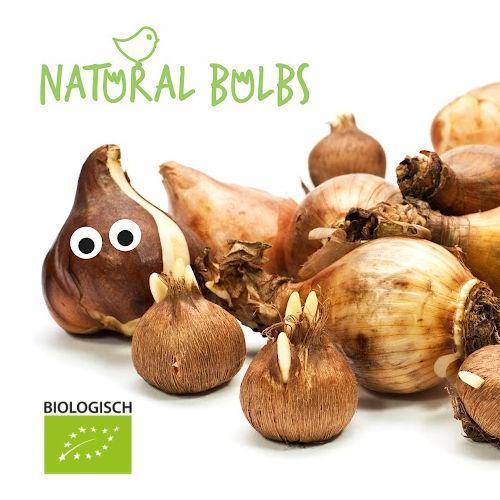 Natural Bulbs logo
