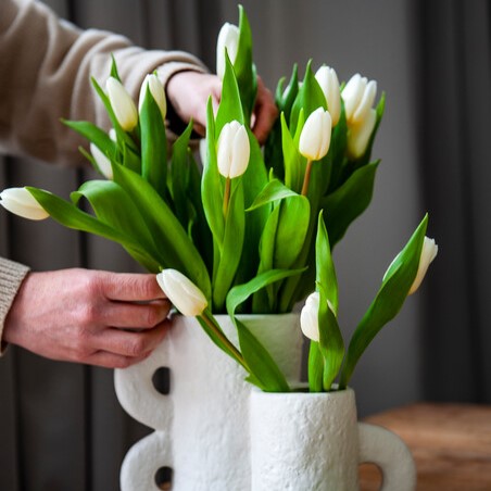 Bos Bio Tulpen Wit