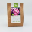 Dahlia Vancouver - BIO