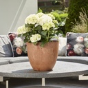 Pot Artstone bola oak D23 H20 #166535