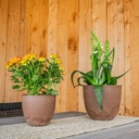 Pot Artstone bola oak D23 H20 #166535
