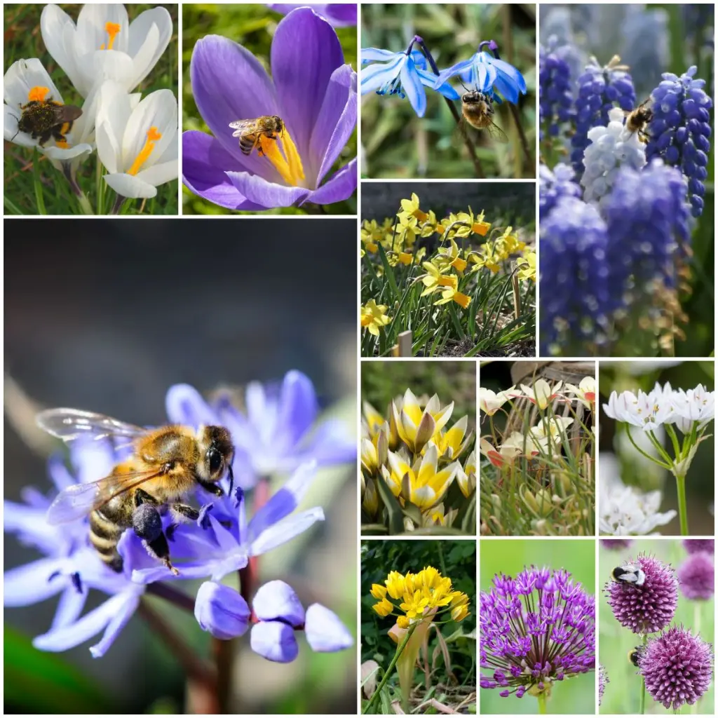 AM99090 Bee in Balance Bloeiboogpakket 120 stuks (concept A).webp