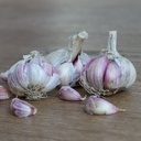Knoflook Morado - BIO 