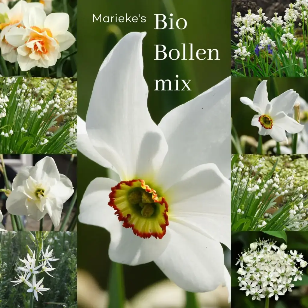 Marieke's biobollen mix 2 m2 - BIO 