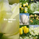 Marieke's biobollen mix geel/wit 2 m2 - BIO 