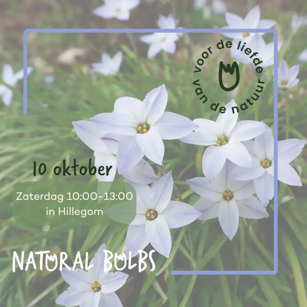 Event Natural Bulbs - 10 oktober. 10:00 - 13:00