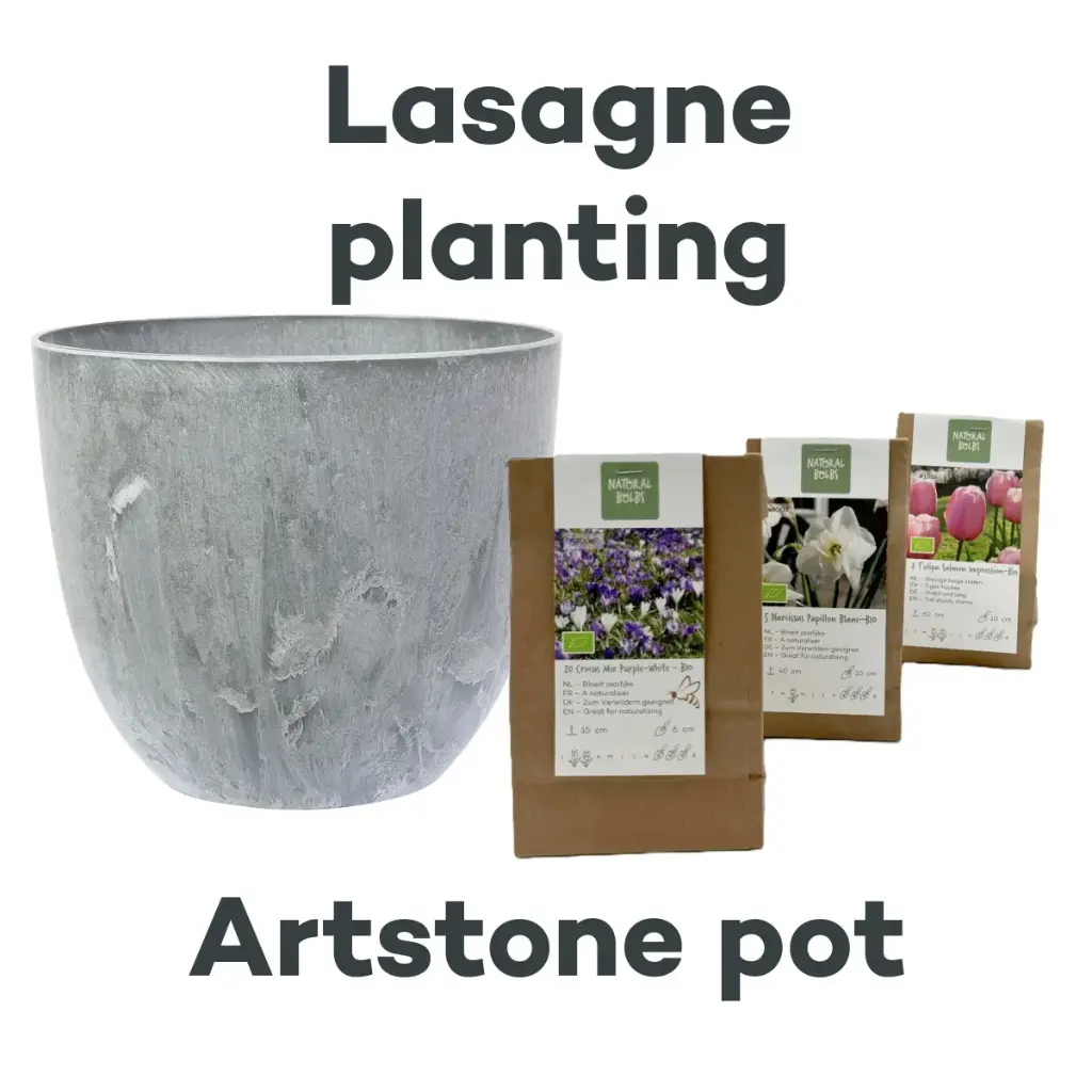 Bollenlasagne met Artstone pot Grijs - BIO