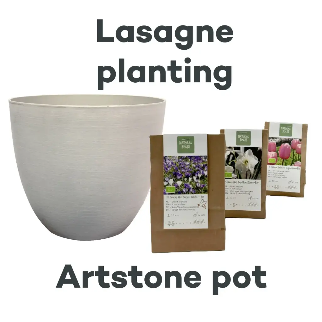 Bollenlasagne met Artstone pot Cloudy - BIO 
