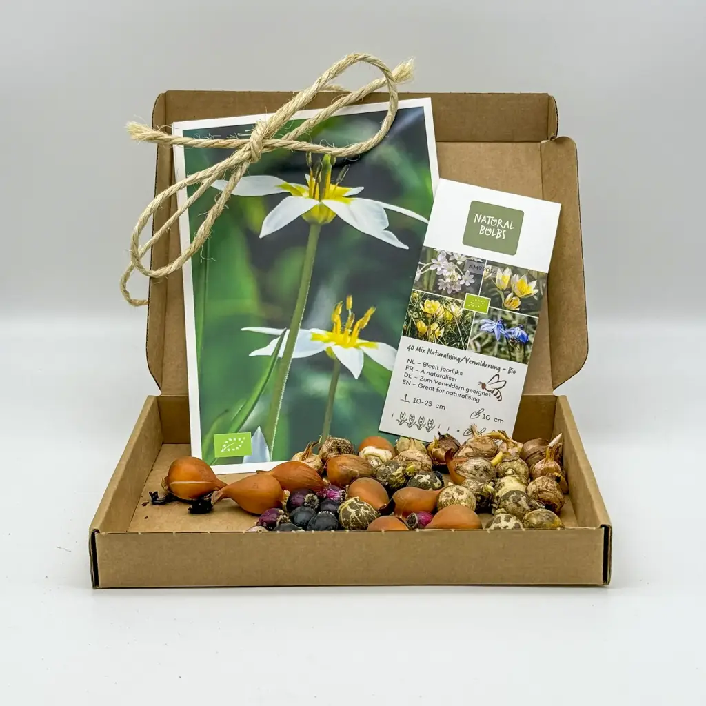 Cadeau doosje Verwilderingsmix 40 ST - BIO 