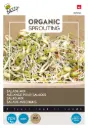 Salade mix - Kiemgroente -BIO