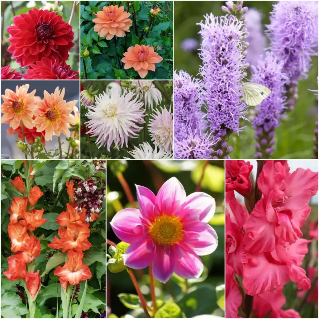 Cottage Garden Summer Dream - BIO (V2)