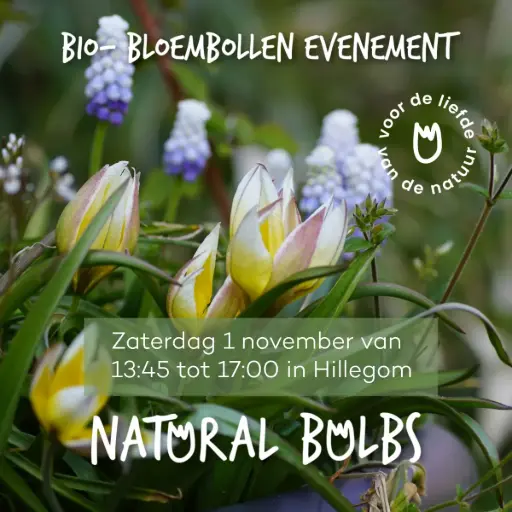 [EVENT1345] Event Natural Bulbs - 10 oktober. - 13:45 - 17:00