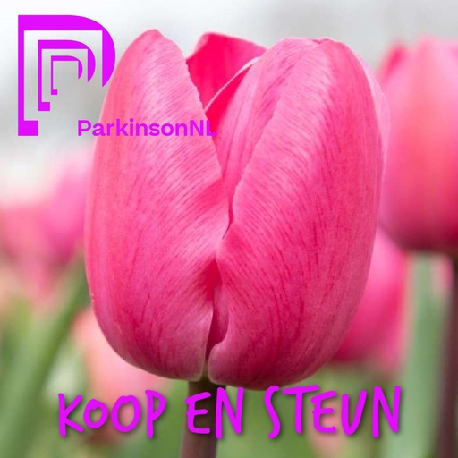 [A1134] Parkinson Tulp - BIO