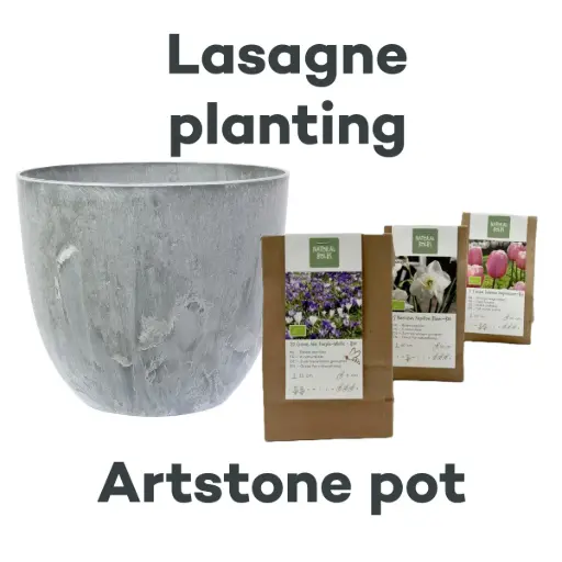 [AC99093] Bollenlasagne met Artstone pot Grijs- BIO 