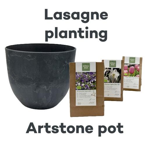 [AC99093] Bollenlasagne met Artstone pot Grijs- BIO 