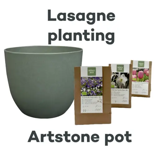[AC99094] Bollenlasagne met Artstone pot Thyme - BIO 