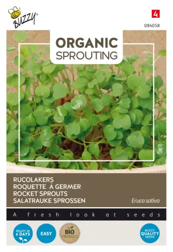 [Buzzy-084058] Rucolakers- Kiemgroente - BIO