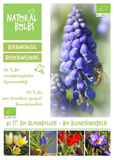 [AM99021] Bijentas - 40 p. - BIO
