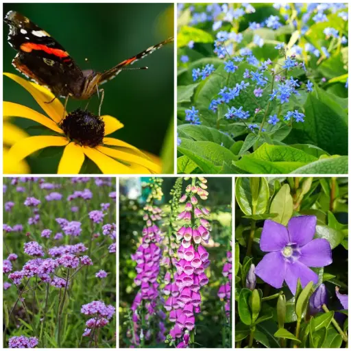 [B8902] Schaduwtuintje Planten - BIO