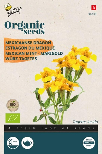 [Buzzy-94733] Tagetes Lucida, Mexicaanse Dragon - BIO